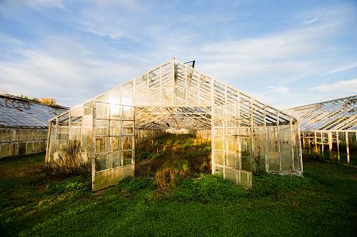 broken glass green house under white clouds during daytime sunset